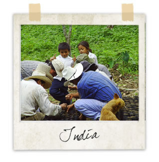 Planting trees in Honduras