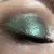 scarabeaus macro eye shot.jpg