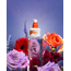 HoliFrog - Moonbeam Retinol Treatment Serum - image 4 | Amazingy