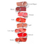 RMS Beauty - Lip2Cheek - image 5 | Amazingy