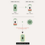 Pai Skincare - Age Confidence™ Renewal Serum - image 7 | Amazingy